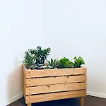 Urban Herbs Apartment
